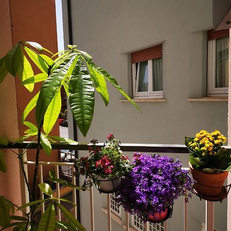 Apuleio 11 Leilighet Roma Eksteriør bilde